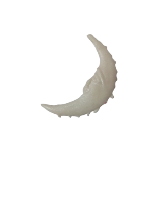 Imagen de Luna en azúcar