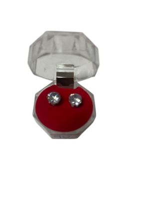 Imagen de Caravanas en acero quirúrgico  con strass